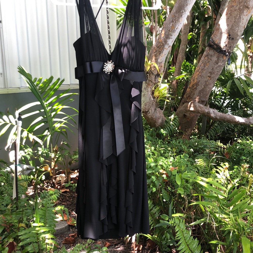 Gorgeous cocktail dress. Never worn.  Size 6.